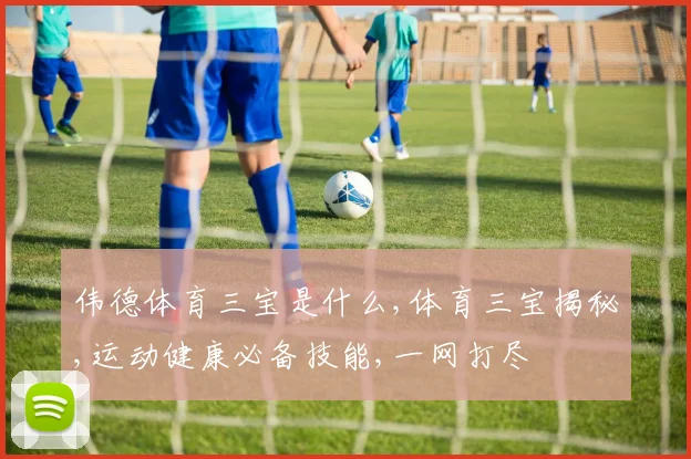 伟德体育三宝是什么,体育三宝揭秘,运动健康必备技能,一网打尽