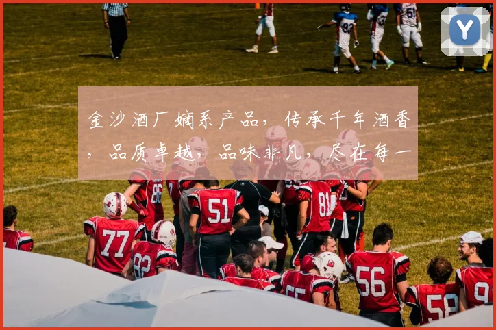金沙酒厂嫡系产品，传承千年酒香，品质卓越，品味非凡，尽在每一滴佳酿。