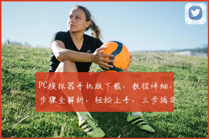 PC模拟器手机版下载，教程详细，步骤全解析，轻松上手，三步搞定