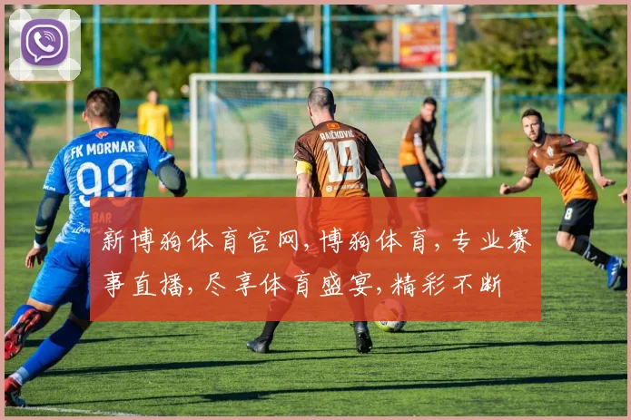 新博狗体育官网,博狗体育,专业赛事直播,尽享体育盛宴,精彩不断